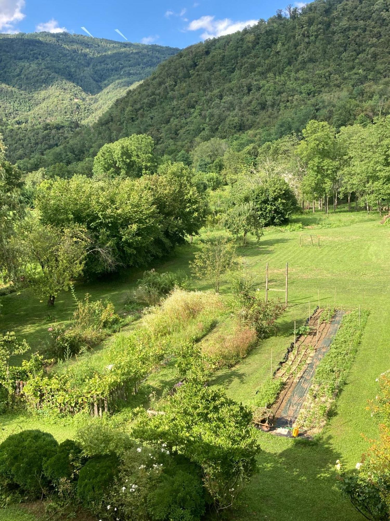 Casa Del Grivo - Alloggio Sole Faedis エクステリア 写真