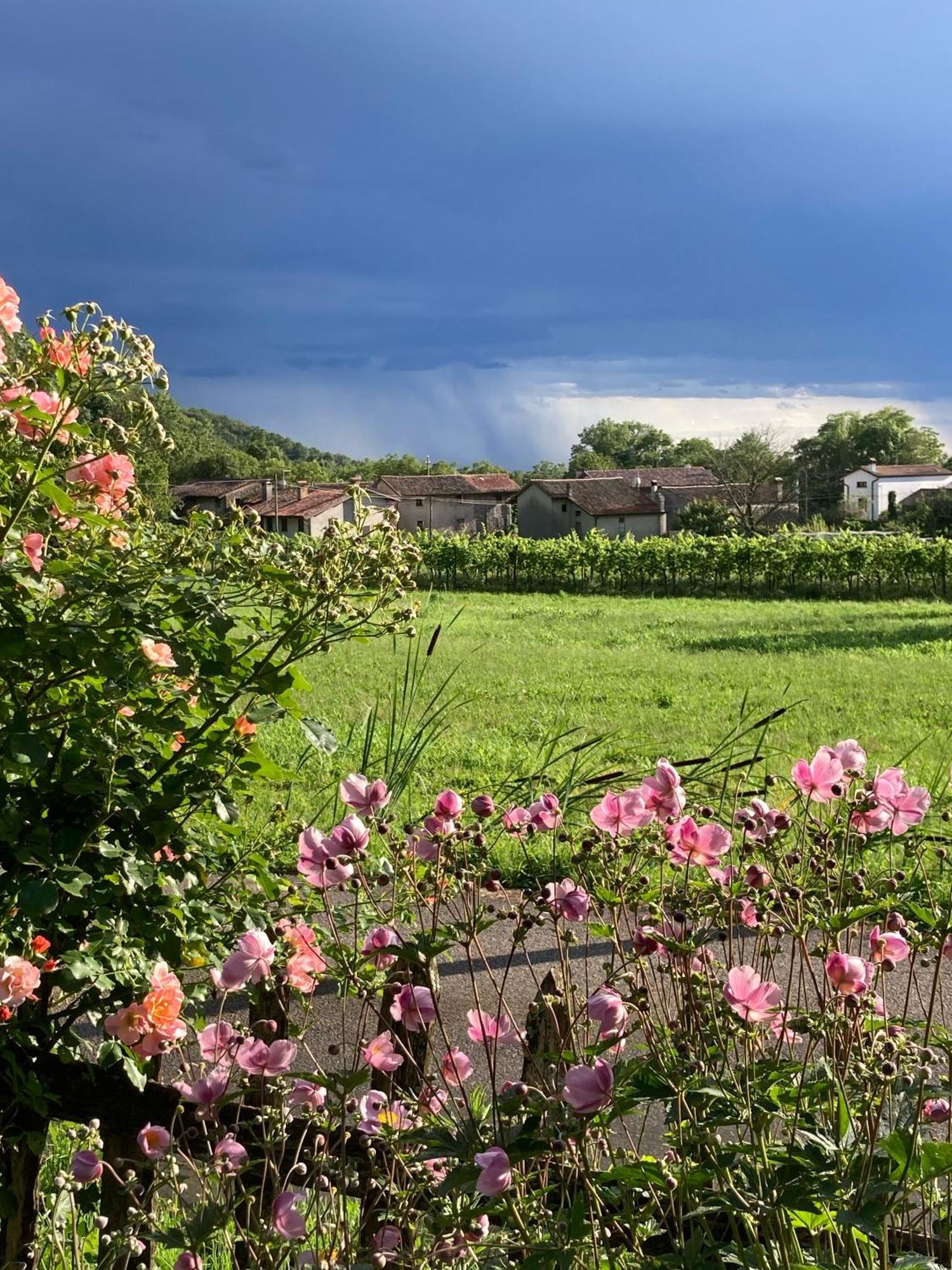 Casa Del Grivo - Alloggio Sole Faedis エクステリア 写真