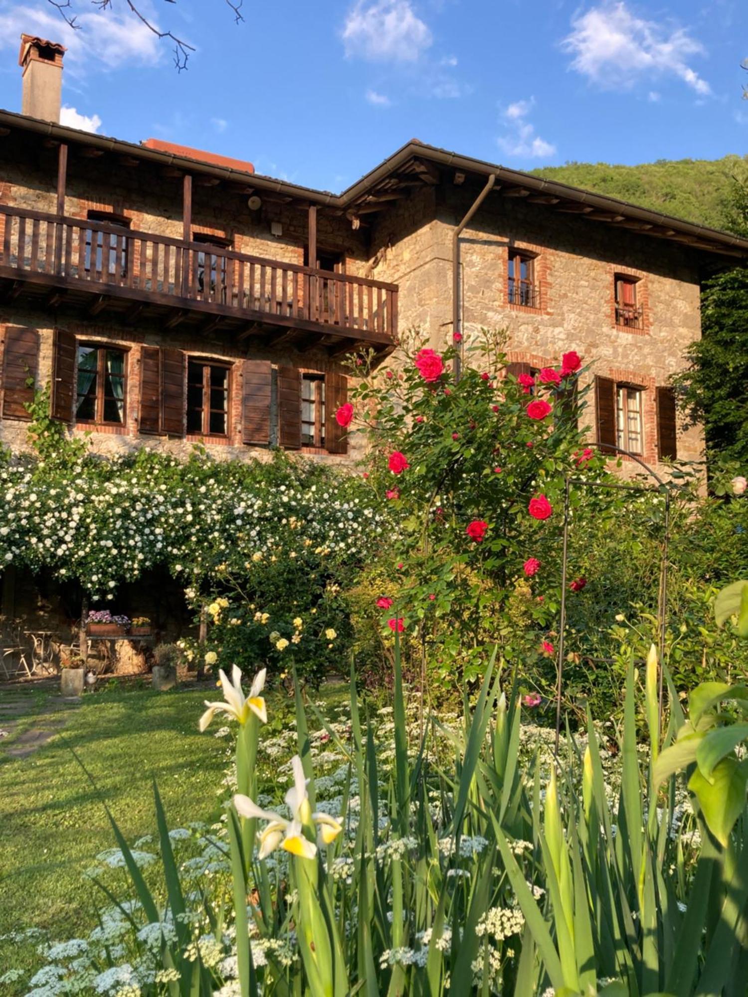 Casa Del Grivo - Alloggio Sole Faedis エクステリア 写真